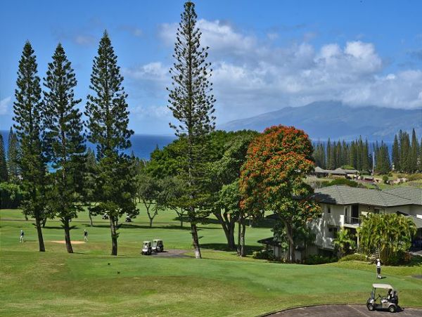 Kapalua Condo 967368