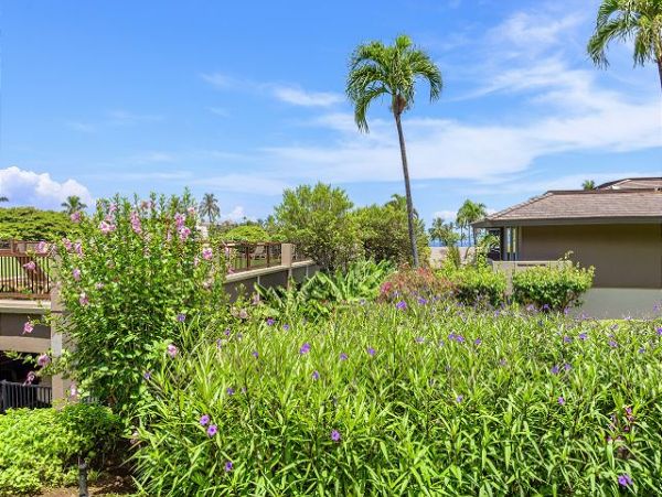 Kaanapali Condo 967371