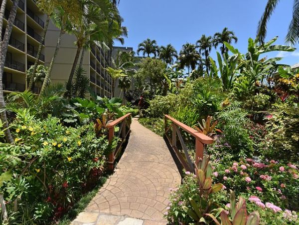 Kaanapali Condo 967374