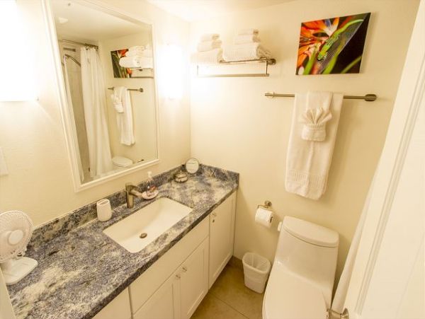 Wailea Condo 967380