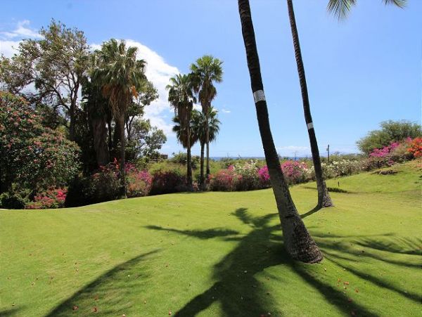 Wailea Condo 967380