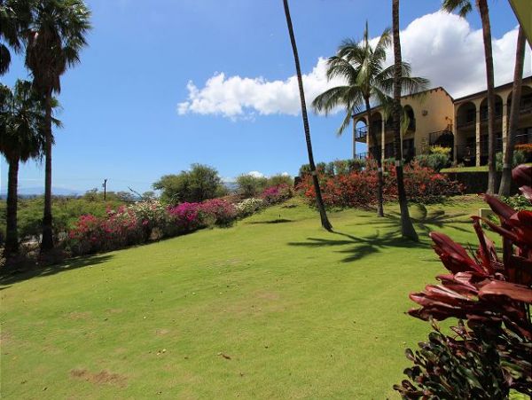 Wailea Condo 967380