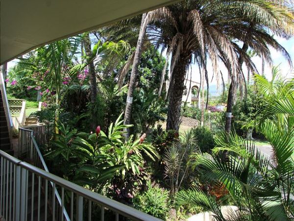 Wailea Condo 967380