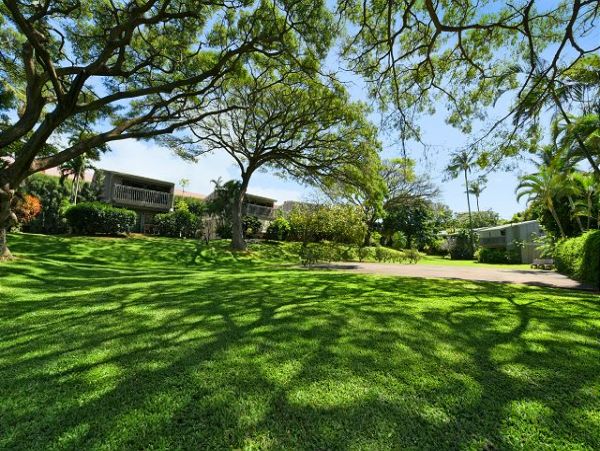 Kaanapali Condo 967387