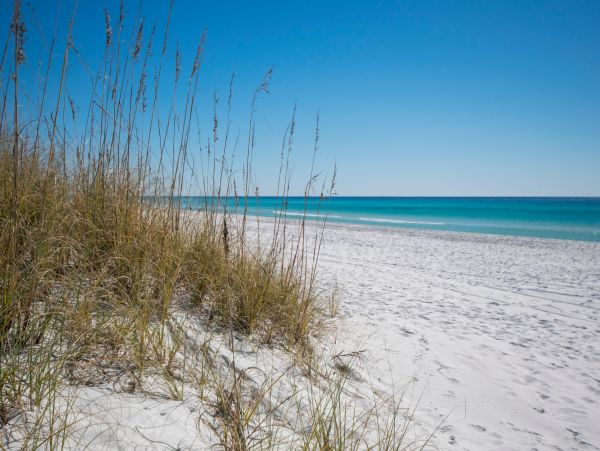 Deluxe Thirteen Bedroom Vacation Home in Miramar Beach