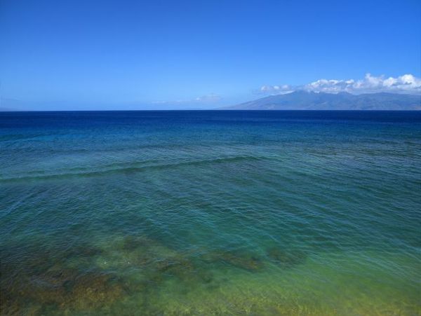 Kaanapali Condo 967398