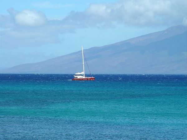 Kaanapali  Maui Condo 967402