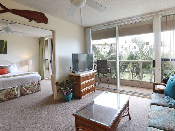 KIHEI 1 BEDROOM CONDO