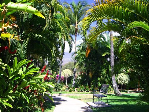 KIHEI 1 BEDROOM CONDO