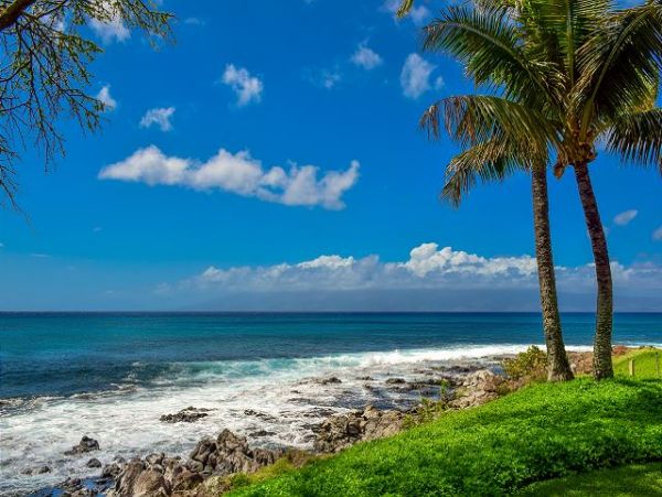 Kaanapali Condo 967406