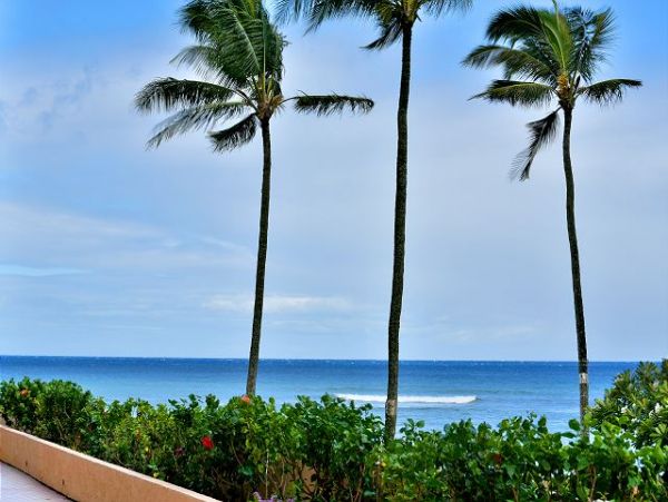 Kahana Ocean Front Studio Beach Access & Beach View Sleeps 3