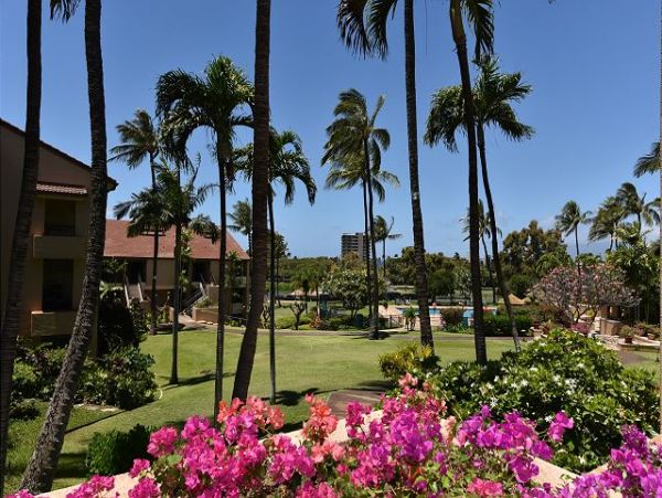 Kaanapali Condo 967412