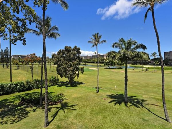 Kaanapali Condo 967412