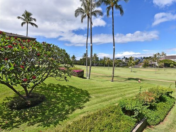 Kaanapali Condo 967417