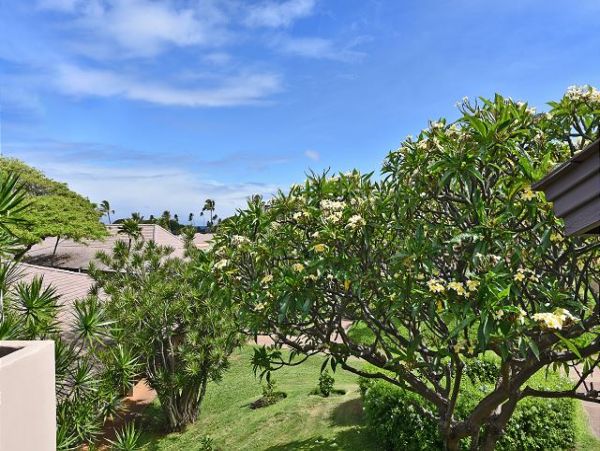 Kaanapali Condo 967417