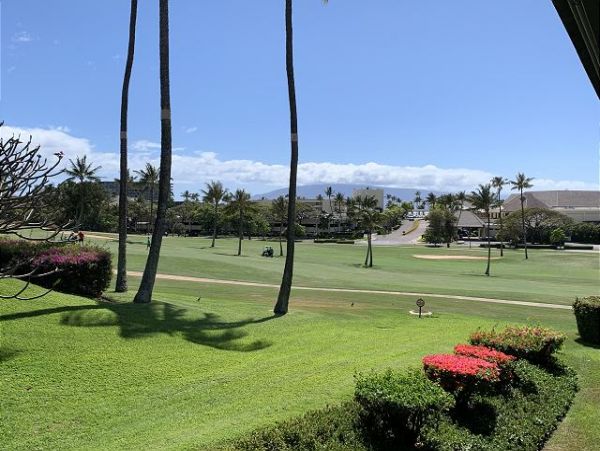 Kaanapali Condo 967417
