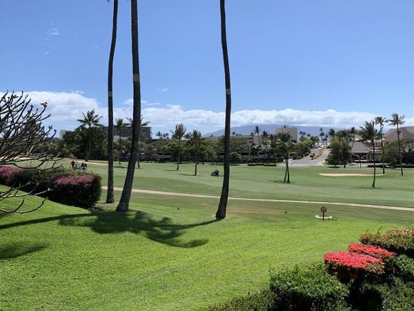 Kaanapali Condo 967417