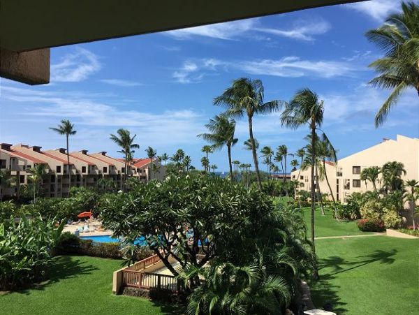 Wailea Condo 967423