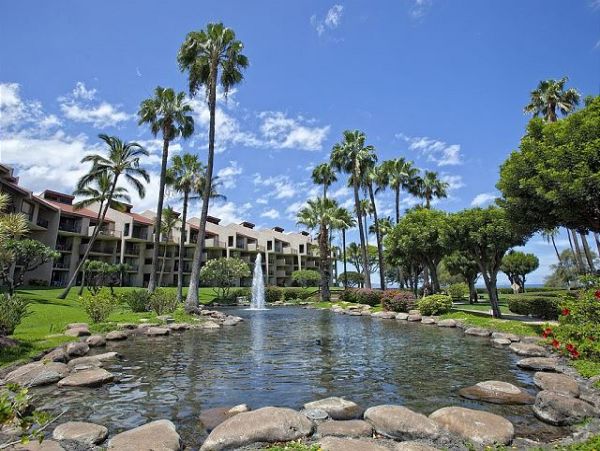 Wailea Condo 967423