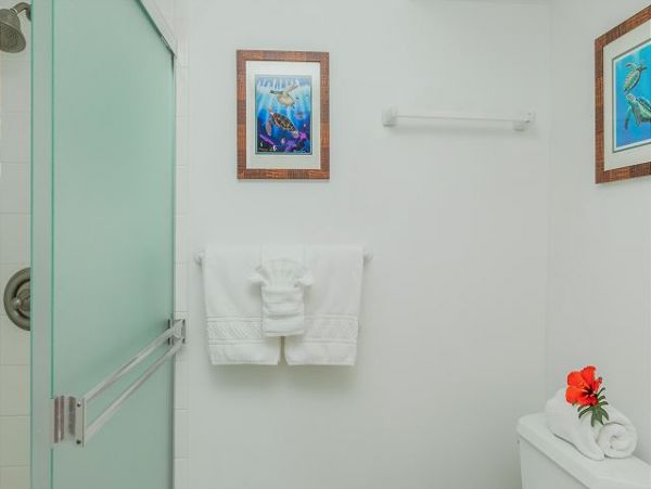 Kaanapali Condo 967424