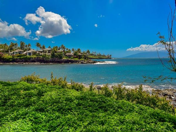 Kaanapali Condo 967426