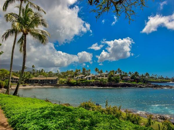 Kaanapali Condo 967426