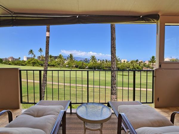 Kaanapali Condo 967428