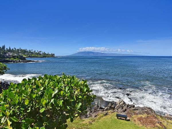 Kaanapali Condo 967430