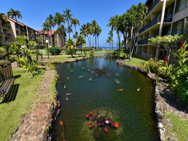 CORNER UNIT MAUI 1 BEDROOM CONDO