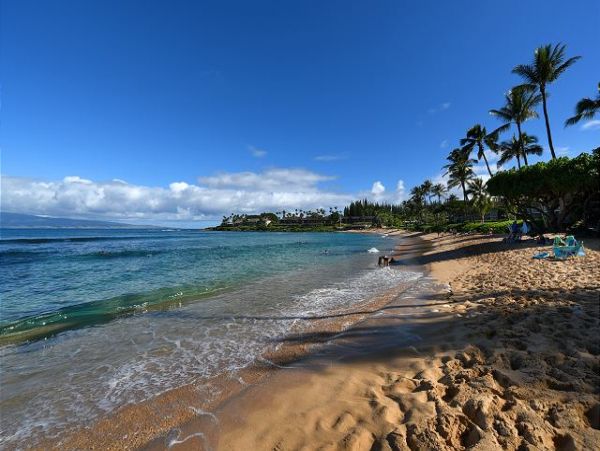 Kaanapali Condo 967433