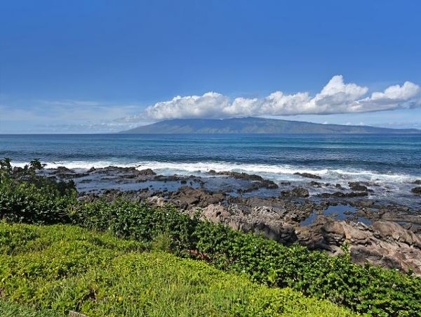 Kaanapali Condo 967433