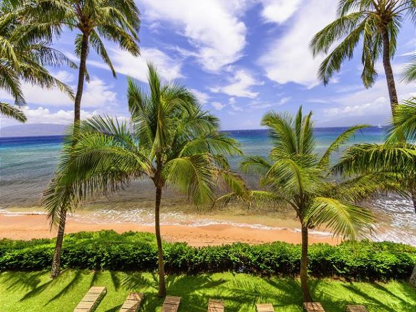 Kaanapali Condo 967439