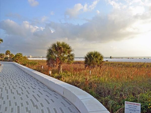 Charming Siesta Key Cottage Across From Beach