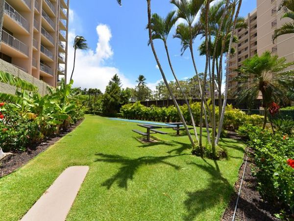 Kahana Condo 967441