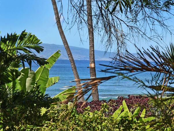 Kaanapali Condo 967443
