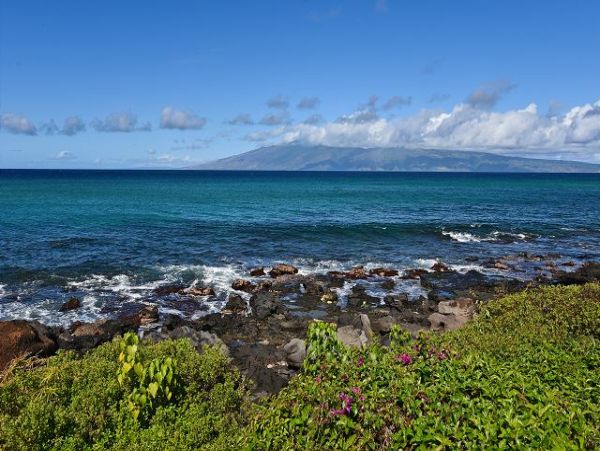 Kaanapali Condo 967444