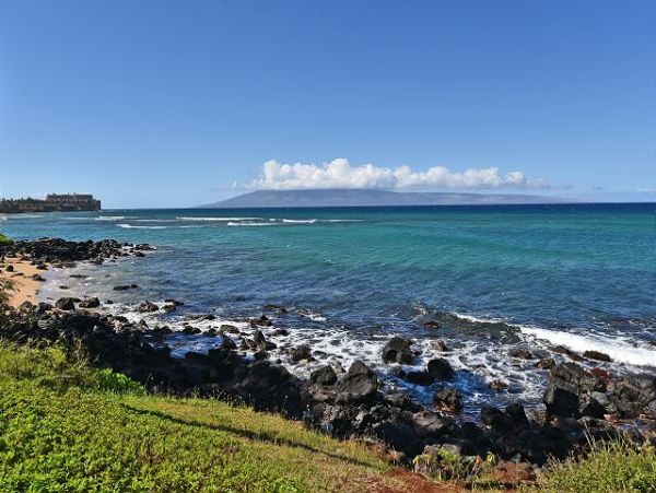 Kaanapali Condo 967444