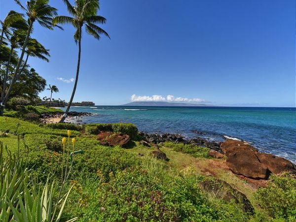 Kaanapali Condo 967444