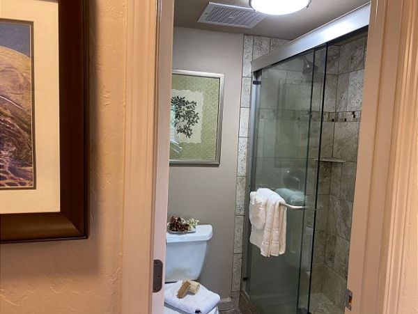 Kaanapali Condo 967445