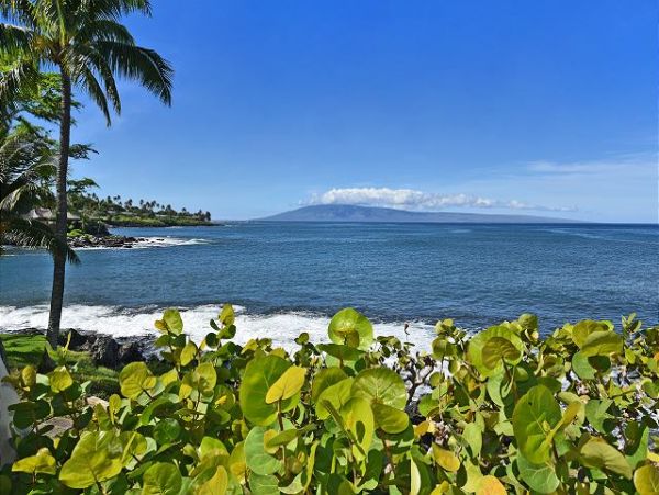 Kaanapali Condo 967445