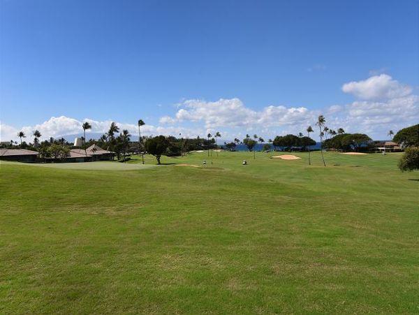 Kaanapali Condo 967449