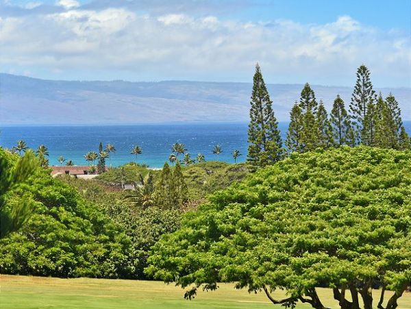 Kapalua Condo 967450