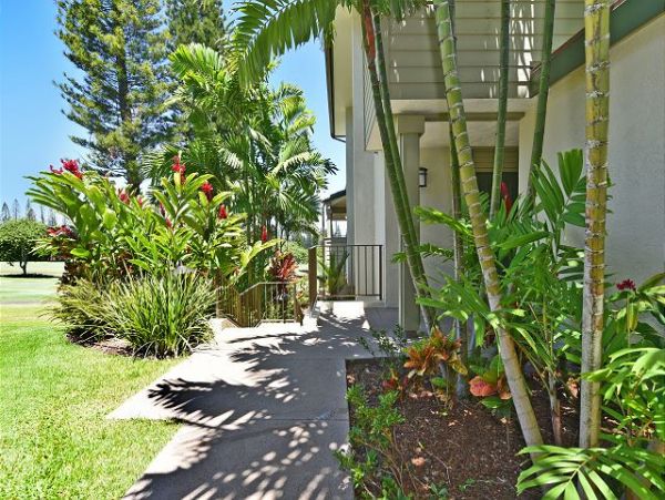 Kapalua Condo 967450