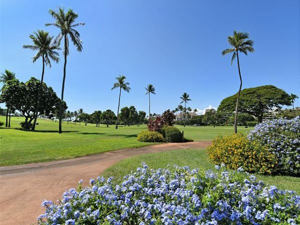 Kaanapali Condo 967451