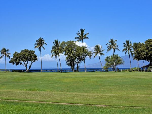 Kaanapali Condo 967451
