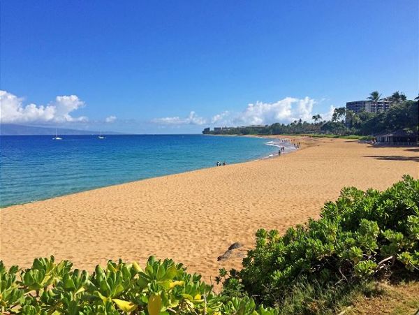 Kaanapali Condo 967453