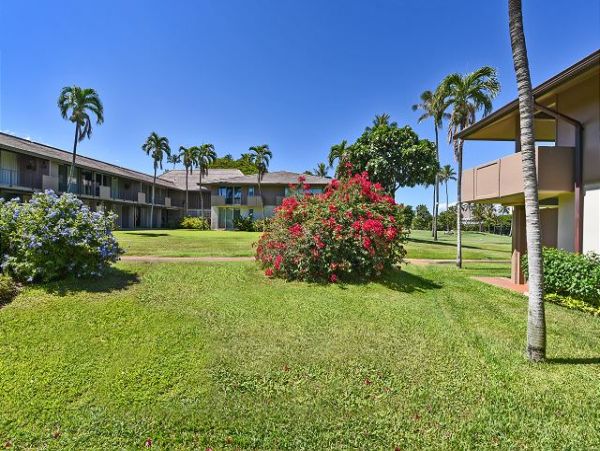 Kaanapali Condo 967453