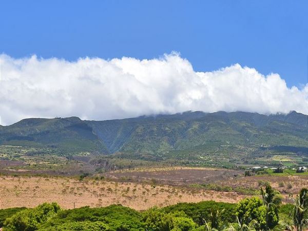 Kaanapali Condo 967459