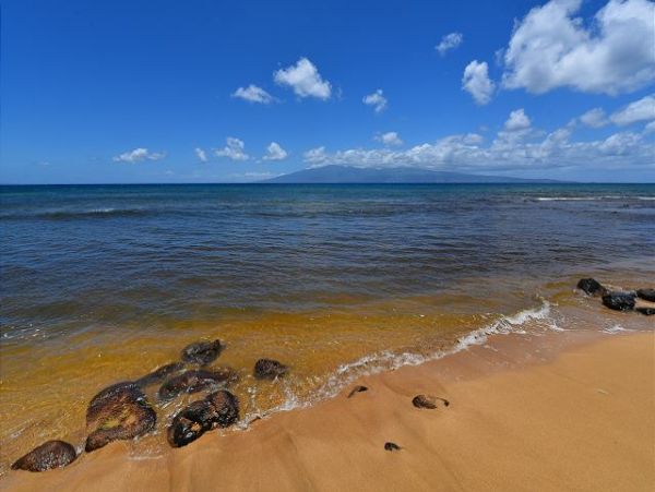 Kaanapali Condo 967459
