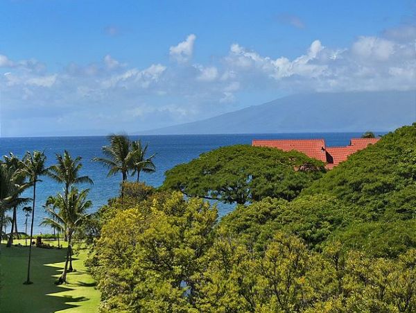 Kaanapali Vacation Condo One Bedroom Walk to Beach